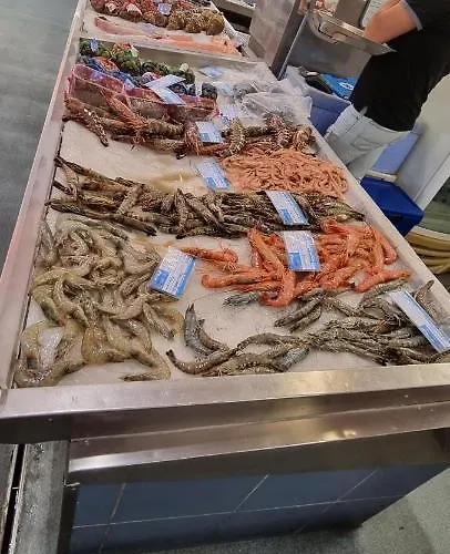 Da Rocha Summer Sea View * Portimão