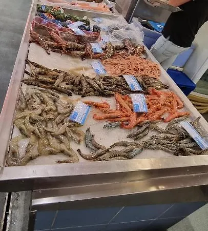 Da Rocha Summer Sea View * ポルティマン